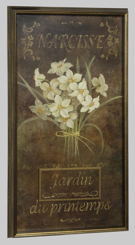 Tulip & Narcisse - Narcisse