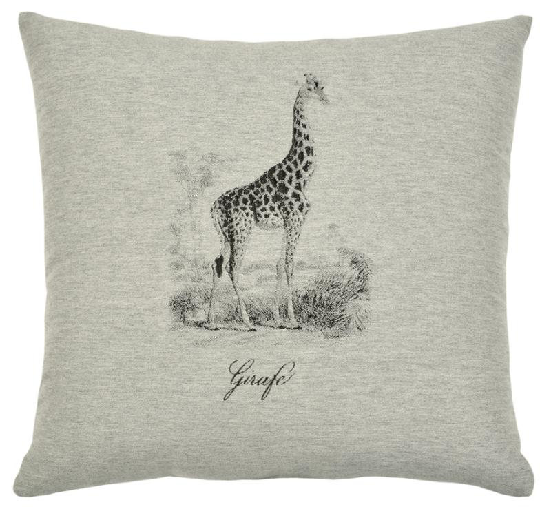 Safari - Giraffe