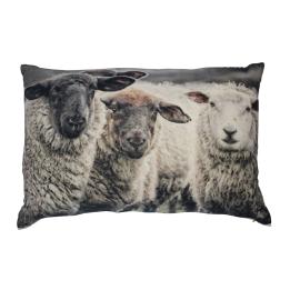Curious Sheep - Cushion, rectangle L