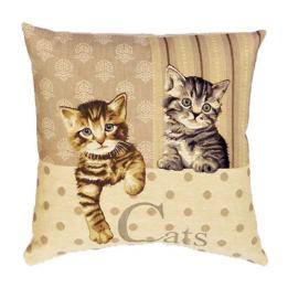 Kittens - Clearance Cushion