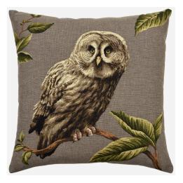 Night Birds - Great Grey Owl