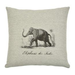 Safari - Elephant