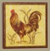 Roosters - Golden Plumage